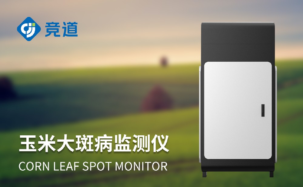 玉米大斑病防治新手段，玉米大斑病監測儀提升病害治理能力